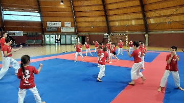 Karate_Camp_2024_Sarnano_226