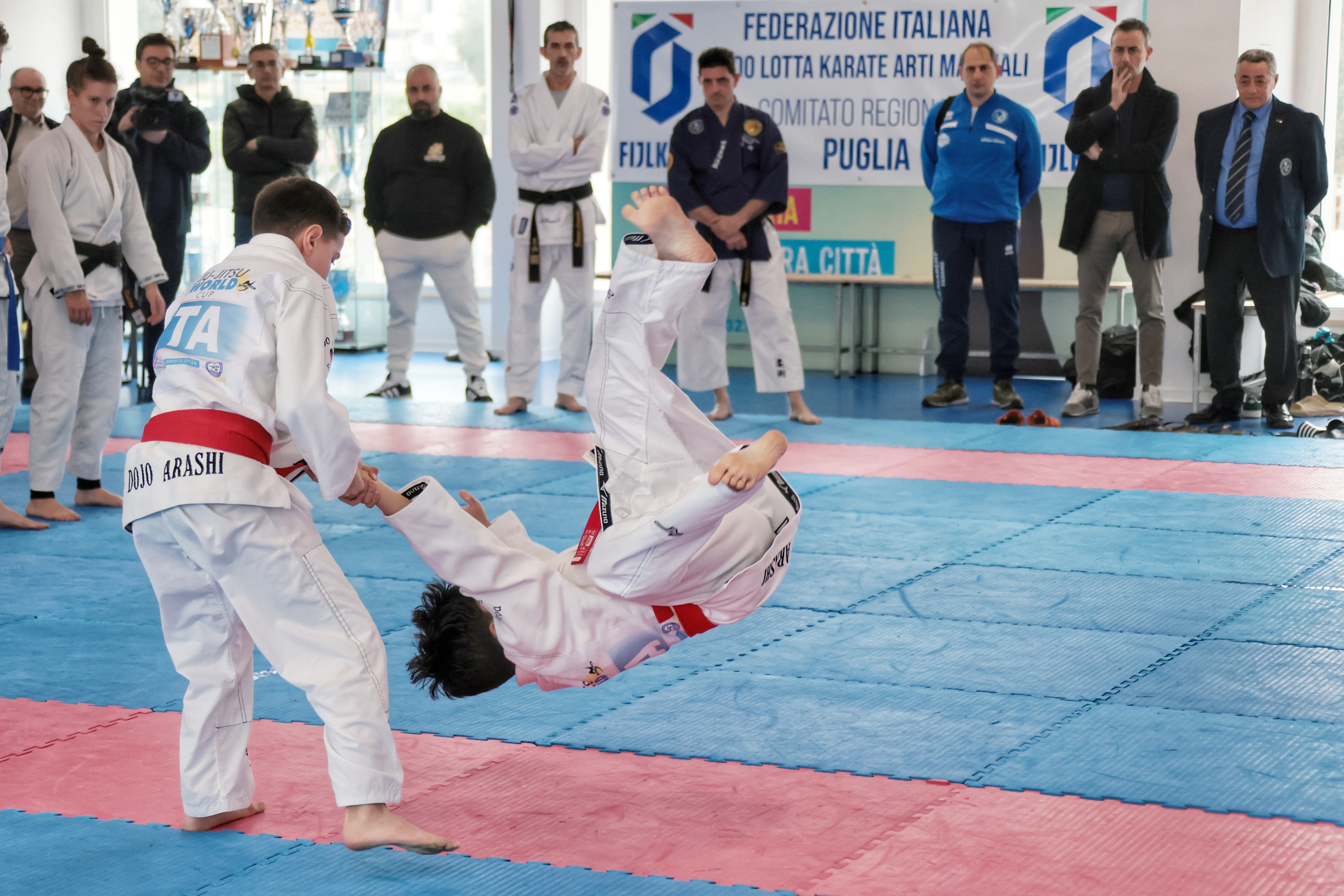 Ju Jitsu 12